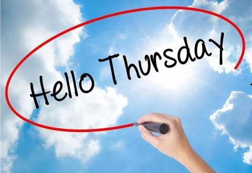 你无视一切,离婚你后悔什么,离婚后的无悔人生