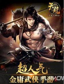 丐世英豪,江湖传奇,侠骨柔情