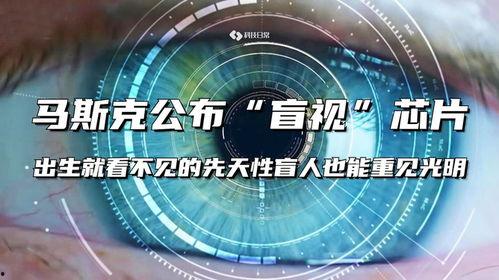 重见光明2024,展望未来,共创辉煌新篇章