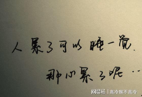 老婆把我丢在高速后,我不再回头(赠她心跳余温爱意焚作尘烟)